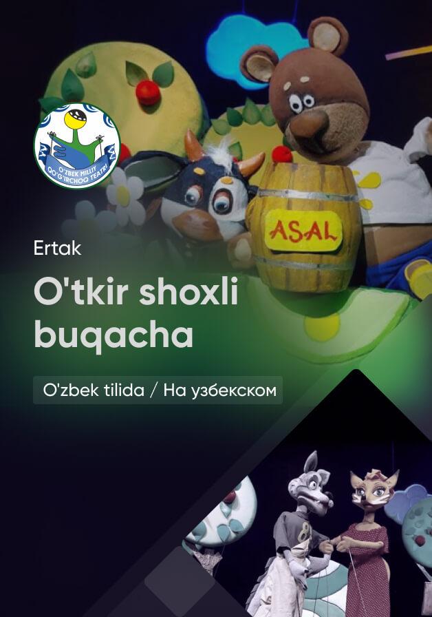 O'tkir shoxli buqacha